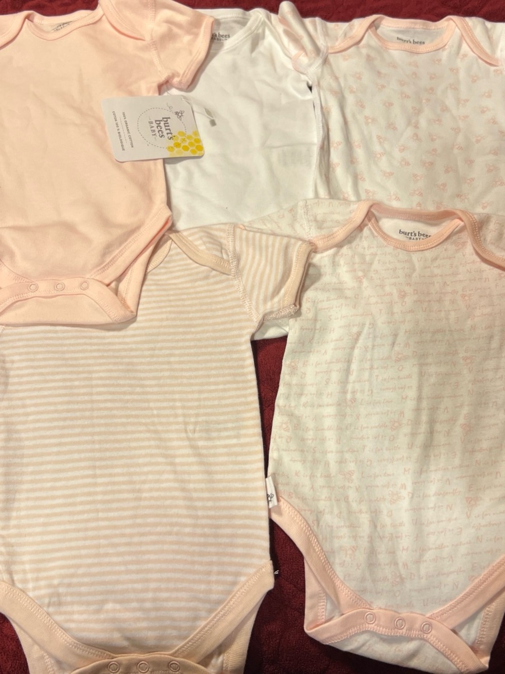 Burt's Bees Baby Pale Pink & White Short-Sleeve One-Piece Bodysuit Set - 5 Pack